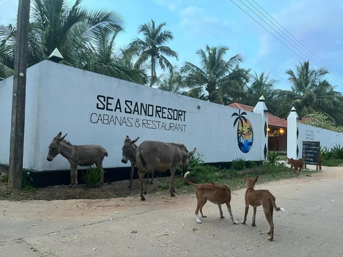 Sea Sand Resort كالبيتيا المظهر الخارجي الصورة